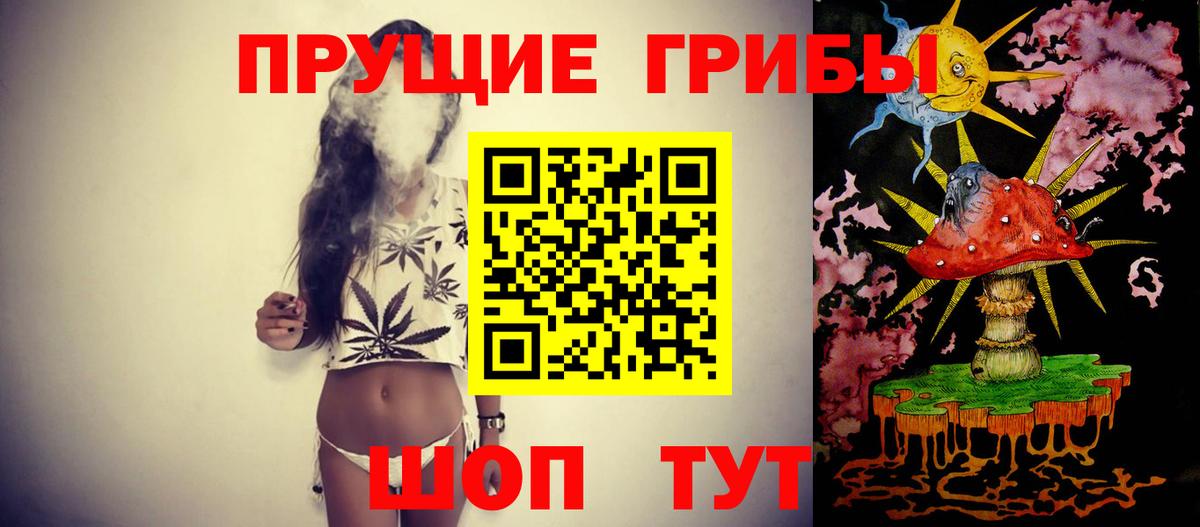 Ахтубинск  Псилоцибиновые грибы прущие грибы  Вход с VPN  Псилоцибиновые грибы MAGIC MUSHROOMS 