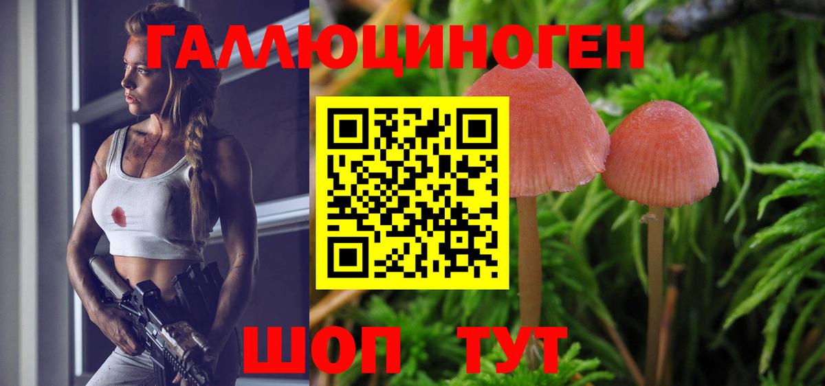 Псилоцибиновые грибы прущие грибы Ахтубинск